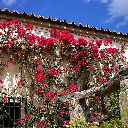 Villa Vall D'en March Estate